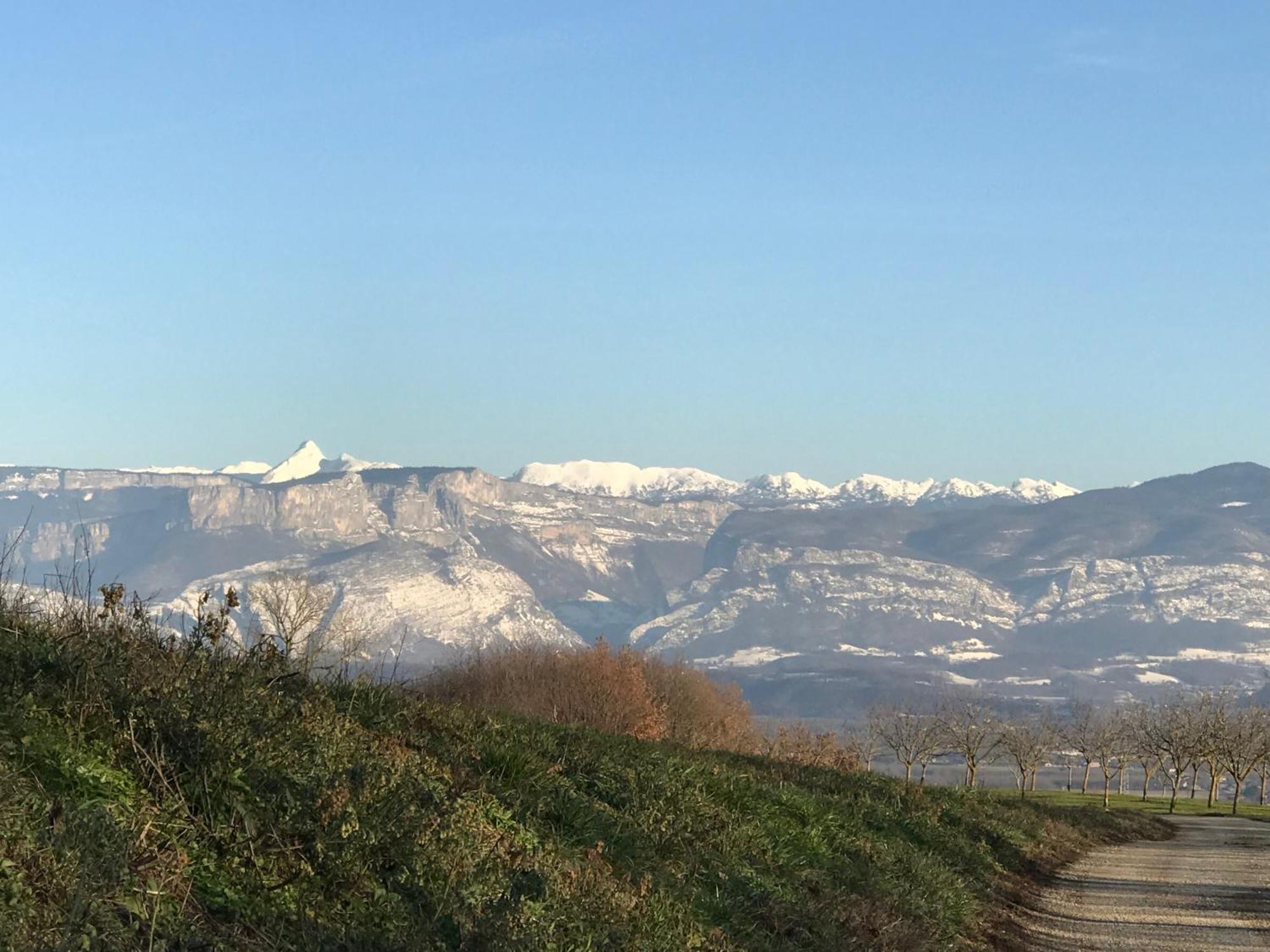 Gites&Chambres D Hotes Les Granges Du Fournel Saint-Lattier Esterno foto